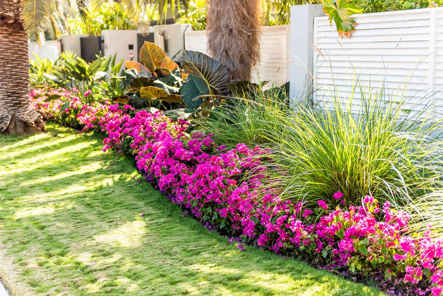 images Boost Curb Appeal avec l'aménagement paysager professionnel